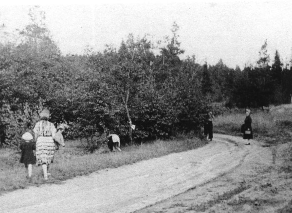 Булыжная мостовая из Ревды на Сибирский тракт у Волчихи. Фото В. Клокочник.