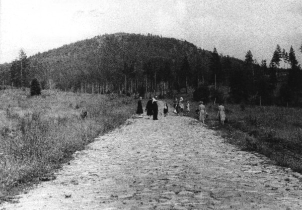 Булыжная дорога из Ревды на Сибирский тракт. На заднем плане Волчиха. 1944 год. Фото В. Клокочник.