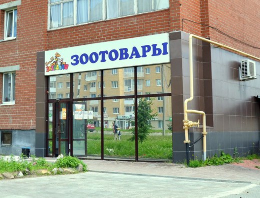 «Звералаш»